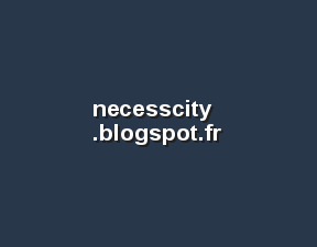 necesscity.blogspot.fr